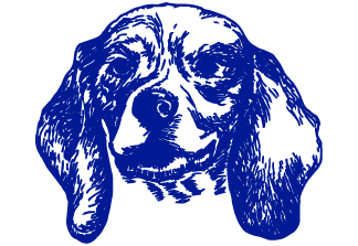 Blue dog head icon
