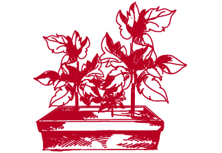 Red garden bed icon
